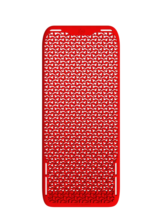 Back Protection Large Level 2 - John Doe