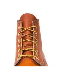 Taslan Lace Tan/Gold - Red Wing