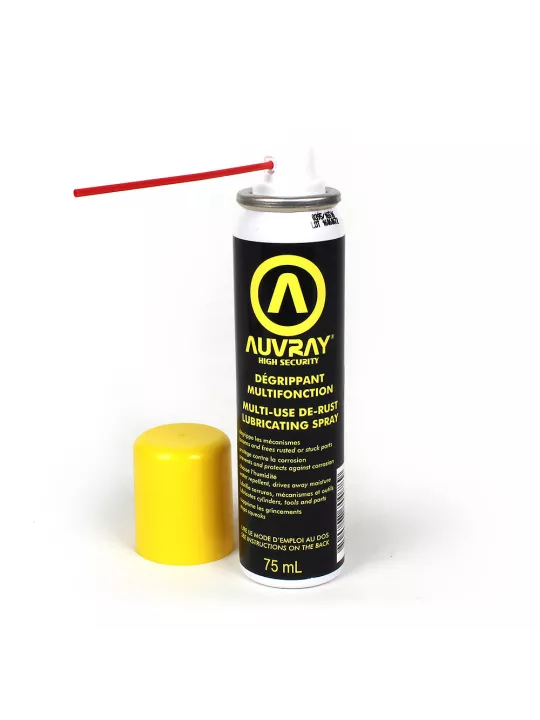 Aerosol Degrippant Multifonction 75 Ml - Auvray