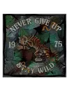 Bandana Tigre - Dmd