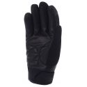 Zeek Evo Lady Gloves - Segura
