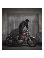 Greasy Selvedge Jeans - Fuel
