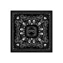 Bandana Square Bones- DMD