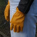 Gants Apple 2 - Roer