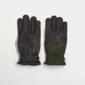 copy ofGants Apple 2 - Roer